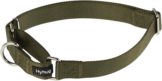Hyhug Pets Premium Upgraded Heavy Duty Nylon Anti-Escape Martingale Collar for Boy and Girl Dogs Comfy and Safe - Professional Training, Daily Use Walking. (Army Green, Small)