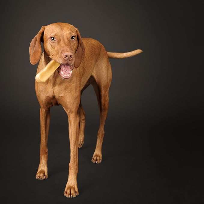 Yak Cheese Himalayan Dog Chews, High Protein, Natural Dog Treats Large Breed, Lactose Free Chew Sticks for Aggressive Chewers, Long Lasting Pet Treat for Dogs Under 80 lbs, 3 X-Large Chews