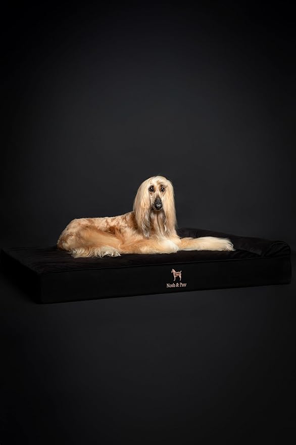 NOAH & PAW Giant Dog Bed XXL 55x45x9.5 Inch, Orthopedic Dog Beds, Eggshell Memory Foam Infused with Cooling Gel, Waterproof, Machine Washable, Includes Inner Cover (Denim Collection)