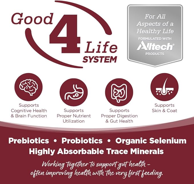 NutriSource Beef & Rice Recipe Dog Food, Premium Wet Dog Food, 12.3 Ounce (Pack of 12)