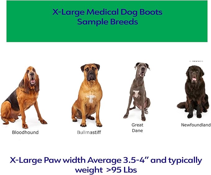 Healers Petcare Medical Dog Bootie for Wound Care & Paw Protection, Single Boot (Blue) - Non-Slip Sole, Breathable Fabric, Vet Approved (X-Large)