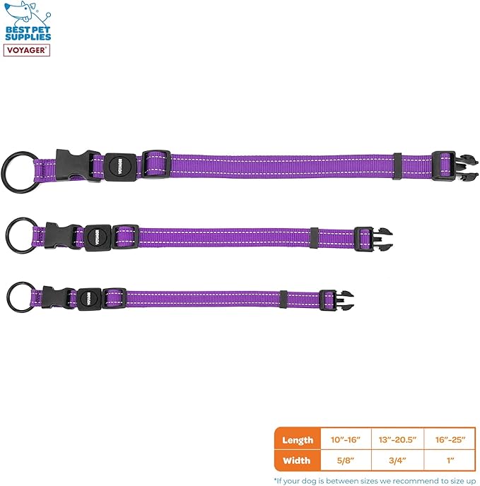 Best Pet Supplies Reflective Dog Collar with Adjustable Length, Heavy-Duty Buckle, and Strong Leash D-Ring, Training, Walking, Jogging Accessory for Small, Medium, and Large Breeds - Purple, M
