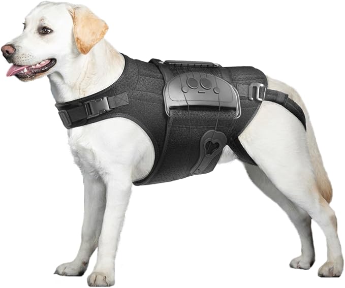 Dog Back Brace for IVDD, Arthritis, Slipped and Herniated Discs – Provides Back Support and Pain Relief, Stabilizes Spine for Surgical Recovery and Mobility, Dogs Back Disease Prevention(Black,L)