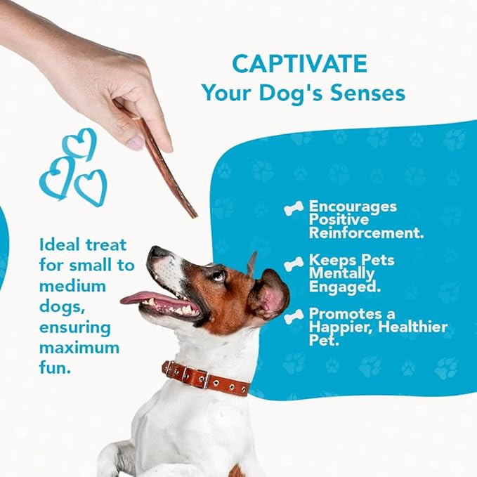 12 Pieces of Dog Jerky Treats, Natural Beef Jerky, Long-Lasting for Pet's Dental Hygiene, All-Natural Dog Treats, Chew Sticks for Dogs (3pack, 12pcs)