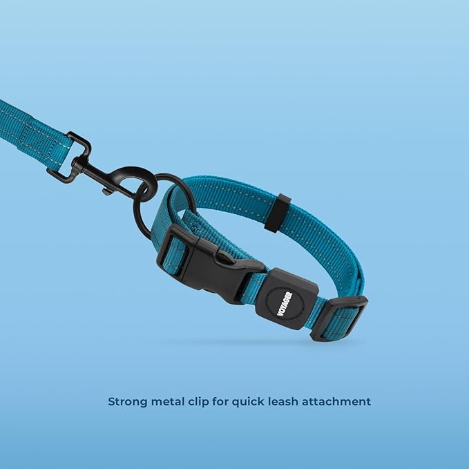Voyager Reflective Dog Leash Collar Set with Neoprene Handle Supports Small, Medium, and Large Breed Puppies, Cute and Heavy Duty for Walking, Running, and Training - Turquoise, S
