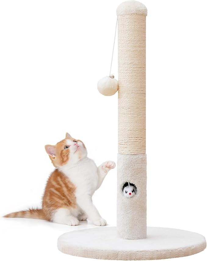 Cat Scratching Post for Kitten, 23in Tall Cute Small Cat Scratching Post with Premium Sisal Rope and Dangling Cat Toy Balls (White