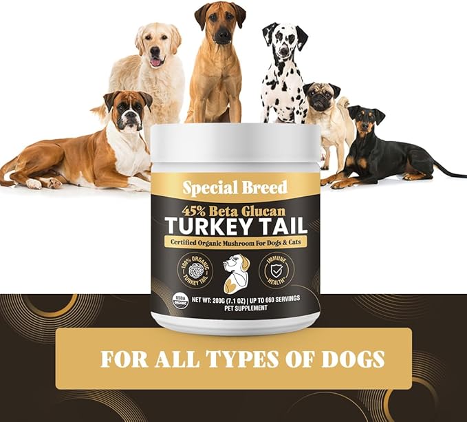 Organic Turkey Tail Mushroom for Dogs & Cats - Hot Water Extracted 45% Beta-Glucan USDA Mushroom Powder for Immune Support, Gut Health, Holistic Defense - No Fillers, Made in The USA - 660 Scoops