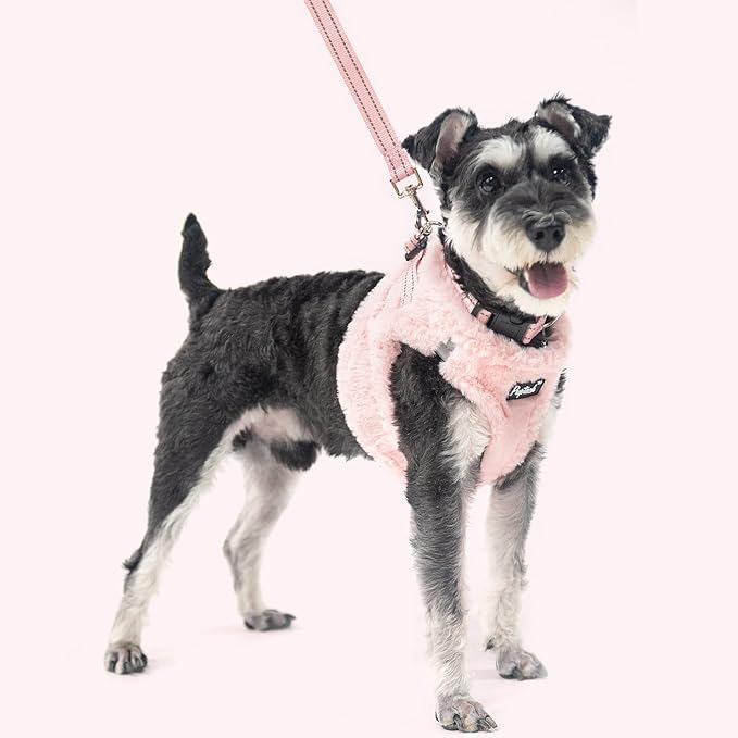 PUPTECK Adjustable Dog Harness Collar and Leash Set Step in No Pull Pet Harness for Small Medium Dogs Puppy and Cats Outdoor Walking Running, Soft Mesh Padded Reflective Vest Harnesses, Plush Pink S