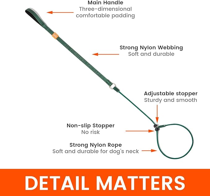 HOWGO Dog Slip Lead Dog Leash,Training Leash, No-Pull Slip Leash and Collar,Heavy Duty&Durable,Padded Handle,for All Breeds(Black, 3.6FT)