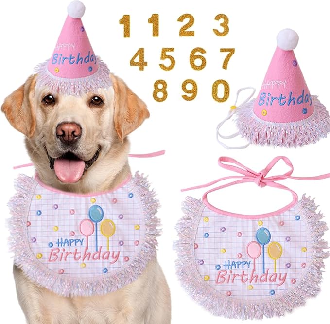 Dog Birthday Party Supplies, Dog Birthday Bandana Set,Bling Boy Girl Party Hat with Numbers for Puppy Large Medium Small Pet (Silver Set, Large)