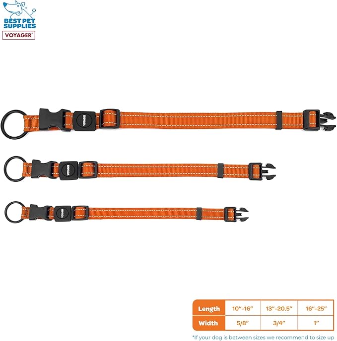 Best Pet Supplies Reflective Dog Collar with Adjustable Length, Heavy-Duty Buckle, and Strong Leash D-Ring, Training, Walking, Jogging Accessory for Small, Medium, and Large Breeds - Orange, L