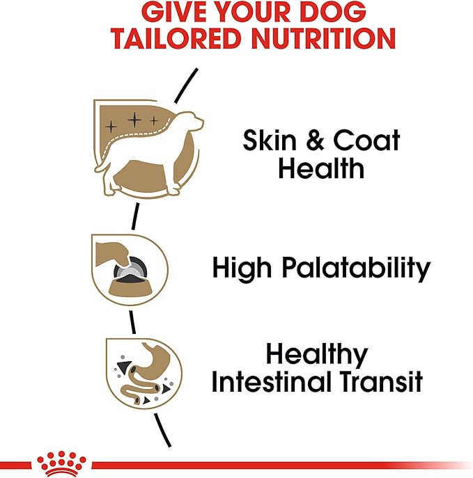 Royal Canin Breed Health Nutrition Chihuahua Adult Loaf in Sauce Wet Dog Food, 3 oz can (24-count)