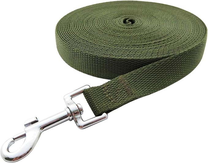 Nylon Training Dog Leash for Small Medium Large Dogs, 15ft 20ft 30ft 50ft Long Leash Dog/Puppy Lead for Obedience Recall Training, Camping (1" x 30ft, Green)