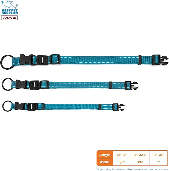 Best Pet Supplies Reflective Dog Collar with Adjustable Length, Heavy-Duty Buckle, and Strong Leash D-Ring, Training, Walking, Jogging Accessory for Small, Medium, and Large Breeds - Turquoise, M