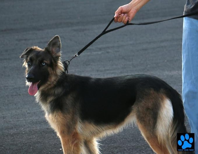 Max and Neo™ Double Handle Traffic Dog Leash Reflective - We Donate a Leash to a Dog Rescue for Every Leash Sold (Blue)