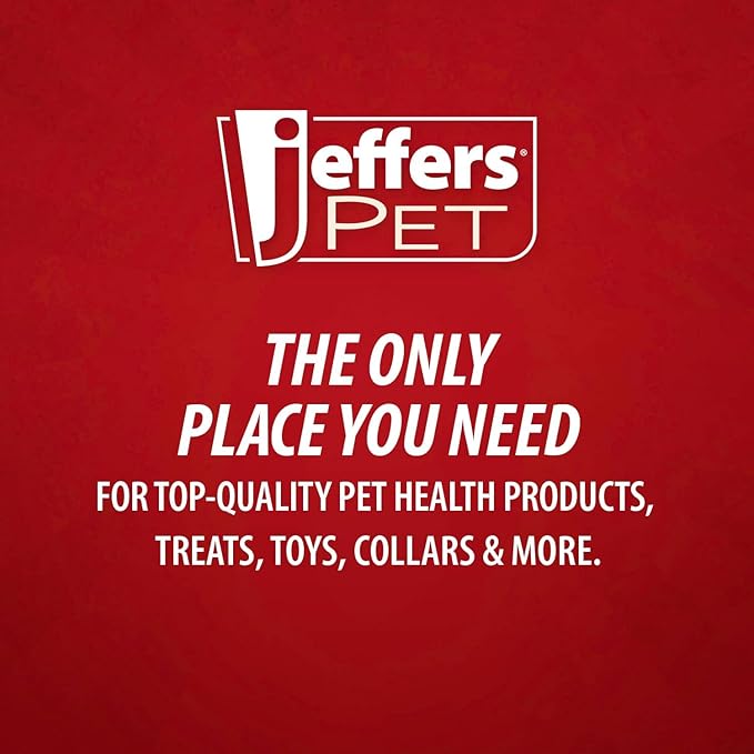 Jeffers Pet Stainless Steel Dog Bowl – No Skid, No Tip Food & Water Bowls for Puppies, Small, Medium, Large Breeds – Heavy Duty, Dishwasher Safe Feeder for Indoor, Outdoor, Travel Use – 3 Quart