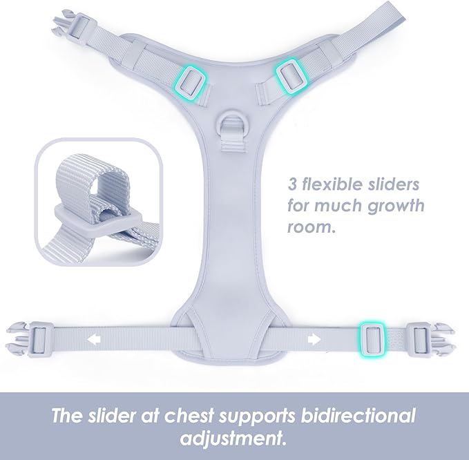 No Pull Dog Harness, Puppy Vest with Front Clip for Small Medium Large Sized Dog(Light Blue,S)