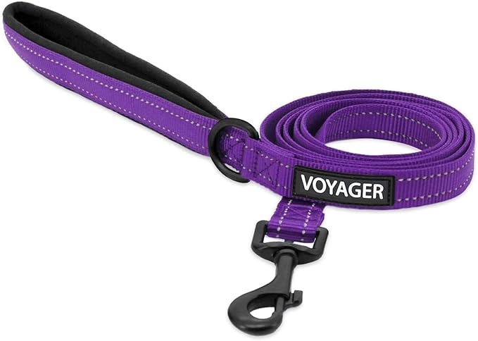 Voyager Reflective Dog Leash with Neoprene Handle, 5ft Long, Supports Small, Medium, and Large Breed Puppies, Cute and Heavy Duty for Walking, Running, and Training - Purple (Leash), L