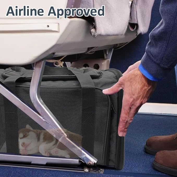 kathson Cat Carrier, Dog Carrier Pet Carriers Airline Approved Portable Collapsible Hand Bag Soft-Sided Dog Travel Carrier Bag for Puppy Kitten Small Dogs Up to 15 Lbs (Black)