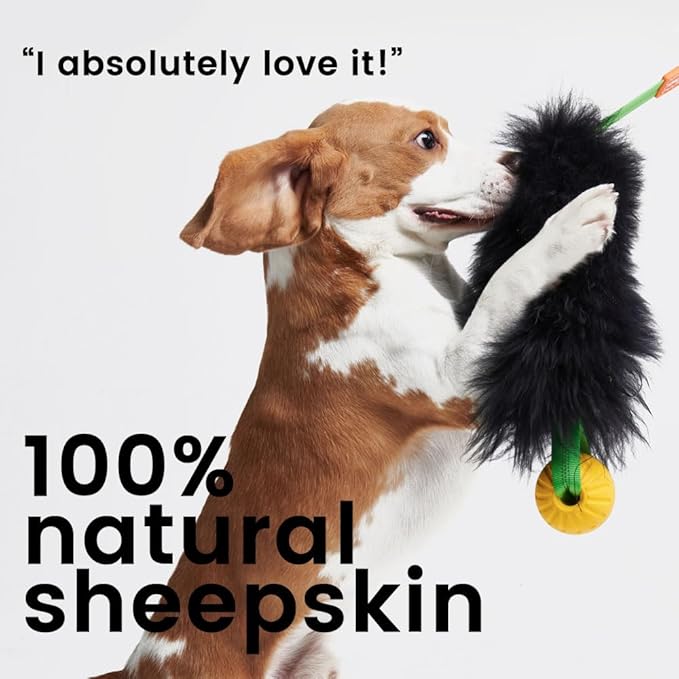 HOWGO Dog Rope Toy,Dog Bungee Chaser Toy 100% Sheepskin,Sheep Smell Tug Toy for All Breeds (Black, with Rubber Ball)