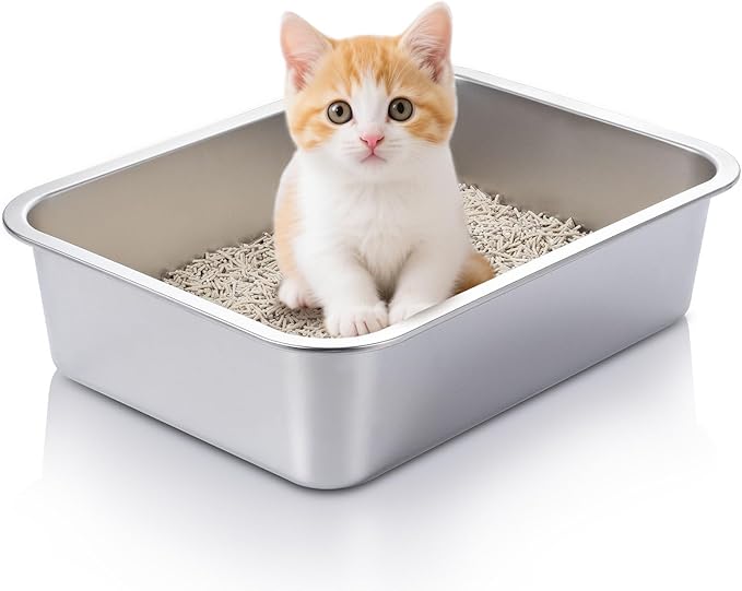 GOLDEN KEY Stainless Steel Litter Box for Kittens,Small Cat Litter Box for Kittens,15.6"×11.6"×4" Metal Litter Pan for Cat, Rabbit, Hamsters, Non Odor, Easy to Clean