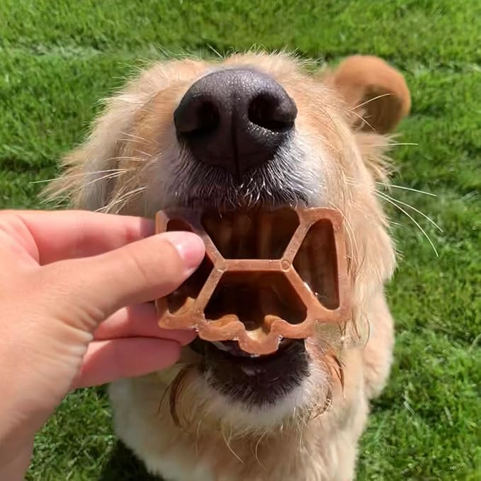 Hive Treats for Dogs — Healthy, Non-GMO Project Verified, Natural Peanut Butter Flavored, Natural, Vegetarian Chews, Made in The USA (Hive Chews, Large Breeds)