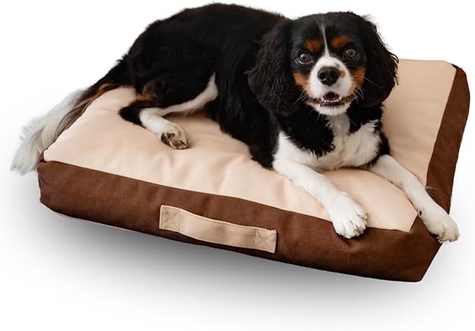 Rawry Orthopedic Dog Bed | Memory Foam Dog Bed with Handle | Water-Resistant, Machine Washable Cover | Floor Cushion for Cats, Dogs & People - Tan/Brown (Small - 24" x 18")