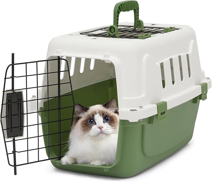 Athena Collection 18" Hard-Sided Travel Pet Carrier for Small Dogs and Cats, Plastic Dog Crate with 2-Door Top & Front Load, Ventilation, Security Lock, Cat Dog Carrier for Pet, up to 10lbs, Green