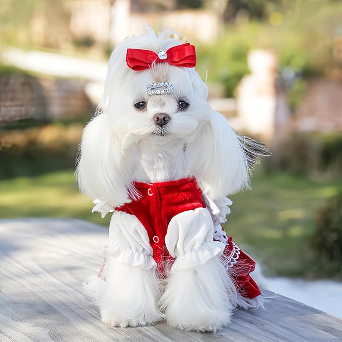 MengYu Princess Dresses for Small Dog Lolita Clothes for Cat Velvet Costume Pretty Lace Outfits Fall Costumes (Red, L)