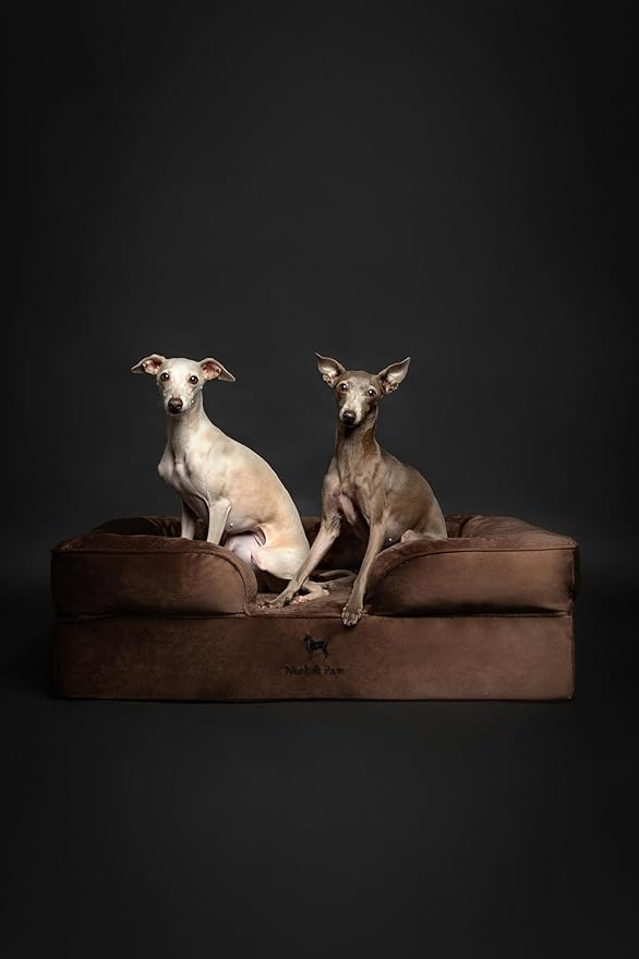 NOAH & PAW Large Dog Bed, 35x25x11 Inch, Orthopedic Dog Beds, Eggshell Memory Foam Infused with Cooling Gel, Inner Cover, Waterproof, Machine Washable (Velvet Sofa Collection)