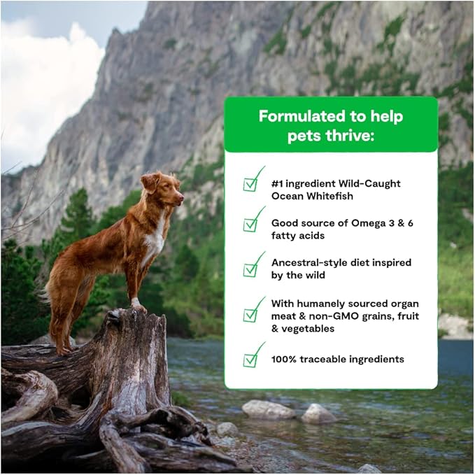 Open Farm, RawMix Dry Dog Food with Ancient Grains, Protein-Packed Kibble Coated in Bone Broth with Freeze Dried Raw Chunks, Salmon Whitefish & Rockfish, Wild Ocean Recipe, 20lb Bag