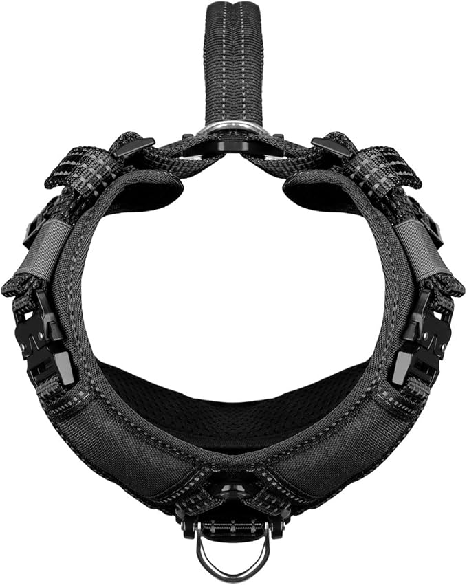 ICEFANG Dog Strap Harness with All-Metal Hardware,for Small Sized Dog,K9 Vest,Y-Shape Soft Padding,Adjustable Pet Harness,No-Pull Front Leash Clip (Small (Pack of 1), Black)