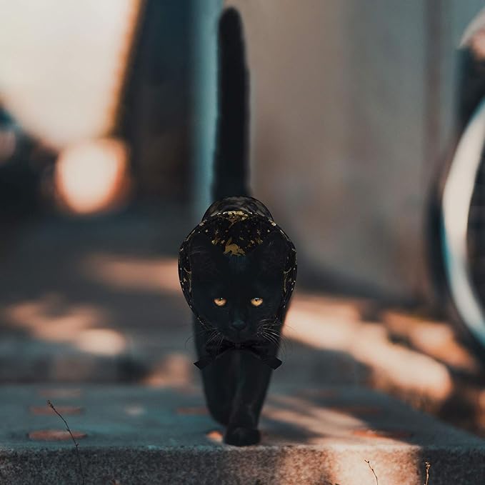 Frienda 2 Pieces Halloween Cat Costume Funny Wick Pet Vampire Cloak Witch Cape and Hat for Kitten Puppy Small Cat Dog Cosplay Halloween Party Supplies(Glitter Pumpkins)