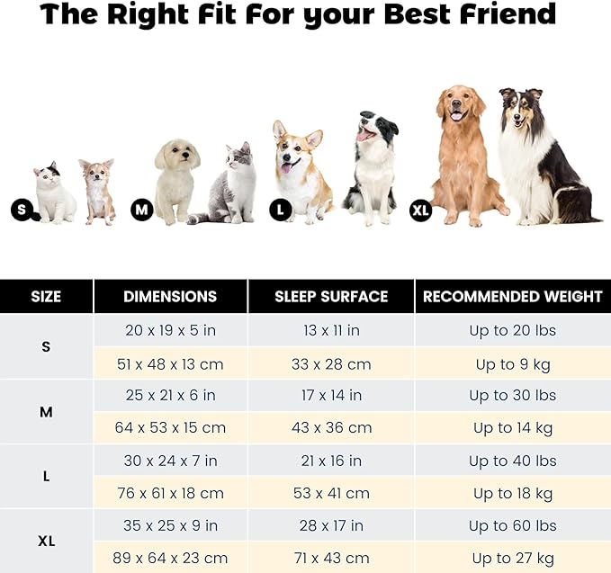 Miguel Washable Cat Beds for Indoor Cats with Removable Cushion/Pillow, Easy to Wash Small Dog Bed with Side, Large Rectangle Kitten Bed Cuddle Puppy Bed with Anti-Slip Bottom, Dark Gray 20 Inch