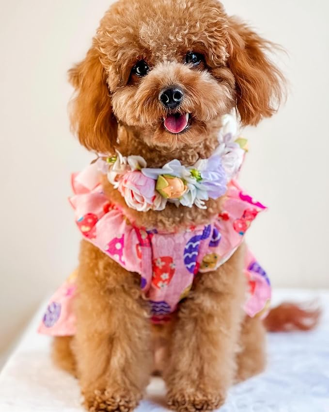 Fitwarm Easter Egg Dog Dress, Holiday Dog Clothes for Small Dogs Girl, Pet Easter Outfit, Pink, Yellow, Purple, XS