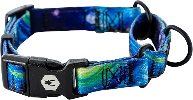 Wolfgang Heavy Duty Martingale Dog Collar with Quick Release Nylon Buckle for Walking & Training, StarryWolf Print
