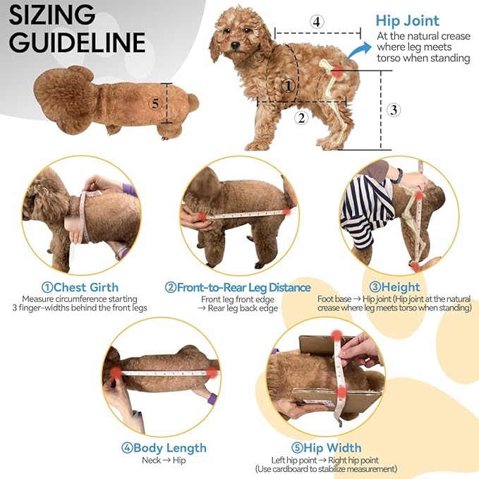 2024 Upgraded Dog Wheelchair for Back Legs Small Wheelchair for Dogs with Disabled Hind Legs Walking Adjustable Dog Carts with Heavy Duty Wheels