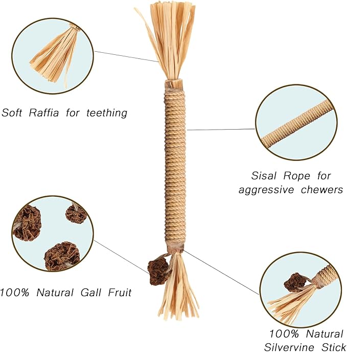 Silvervine Sticks for Cats, Silver Rattan Stick Catnip Stick,Kitten Training Toy,Cats Chew Stick Indoor,Cat Interactive Toy,Tooth Cleaning for cat,Kitty Wooden Tooth Stick Cat Game