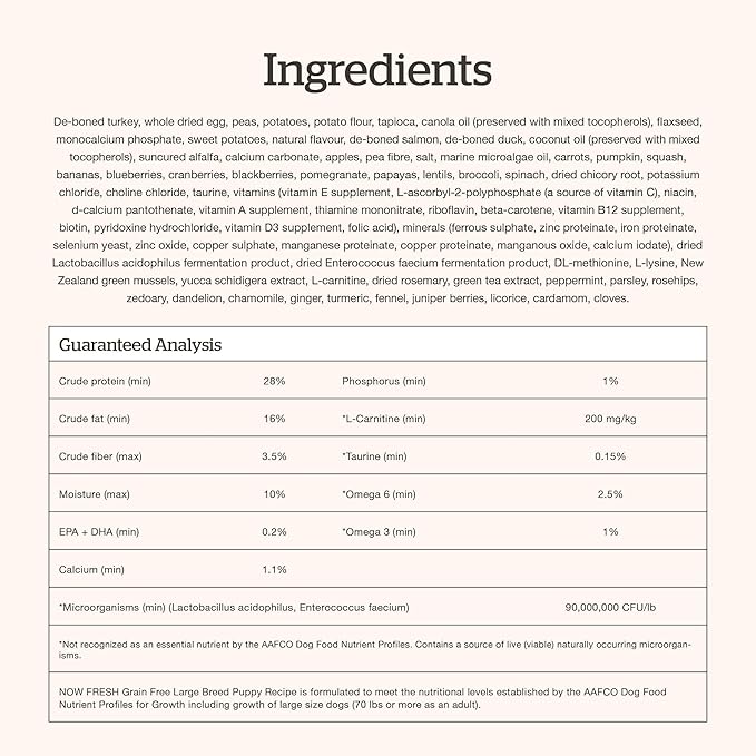 Now Fresh Grain-Free Large Breed Dry Puppy Food with Turkey, Salmon & Duck, Healthy Kibble for Growing Dogs with Real Meat & Fish, Chicken-Free, Pumpkin & Probiotics for Good Digestion, 25 lb Bag