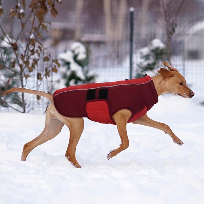 Kuoser Dog Jackets for Small Dogs, Warm Dog Coat with Harness Built in, Puppy Winter Jacket Pet Clothes for Cold Weather, Reflective Waterproof Doggie Winter Vest for Pug Dachshund, Red S