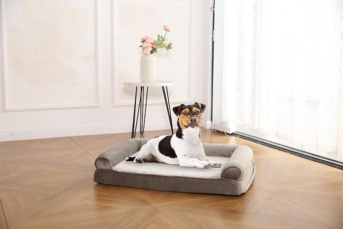 Amazon Basics Dog Bed with Cooling Gel Memory Foam, Pressure-Relief Support for Dogs up to 30lbs, Non-Slip Bottom, Machine Washable Cover, Medium Sized (30" x 20"), Taupe