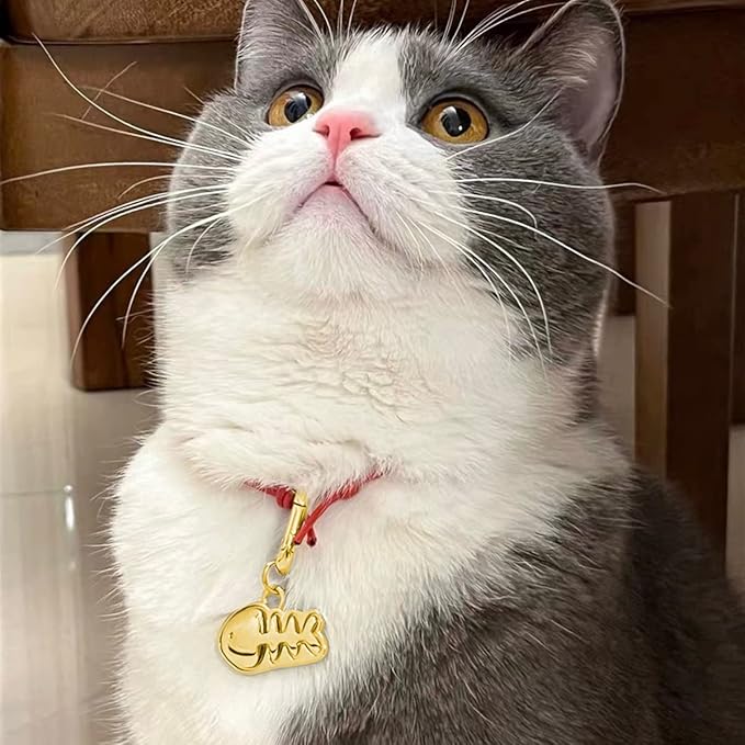 Dogs ID Tags Personalized Double Sided Deep Engraved Cat & Dog Collar Charm Fishbone Balloon Shape Brass