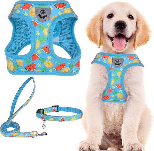 PUPTECK Adjustable Dog Harness Collar and Leash Set Step in No Pull Pet Harness for Small Medium Dogs Puppy and Cats Outdoor Walking Running, Soft Mesh Padded Reflective Vest Harnesses, Sky Blue M
