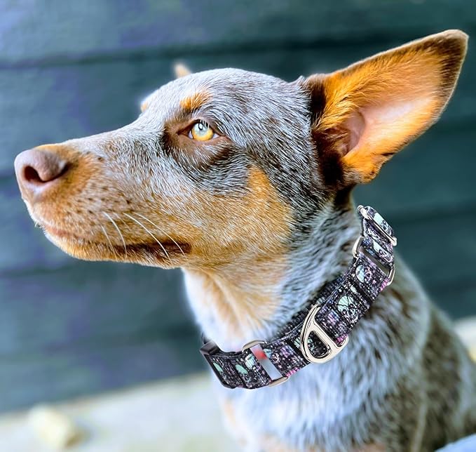 Martingale Collar for Dogs - Reflective Nylon with Padded Comfort & Quick Release Buckle - Skull Design, No Slip Choke Heavy Duty Collar for Safe Training, Walking & Nighttime Use M
