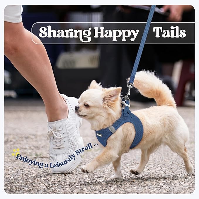 rabbitgoo Dog Harness Small Sized and Leash Set, Step in Soft Light Puppy Vest, Breathable Mesh Pet Harness, Reflective for Safe Outdoor Walking, Navy Blue S