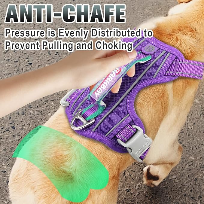 BARKBAY No Pull Dog Harness Large Reflective Dog Harness with Front Clip and Easy Control Handle for Walking Training Running with ID tag Pocket(Purple,M)