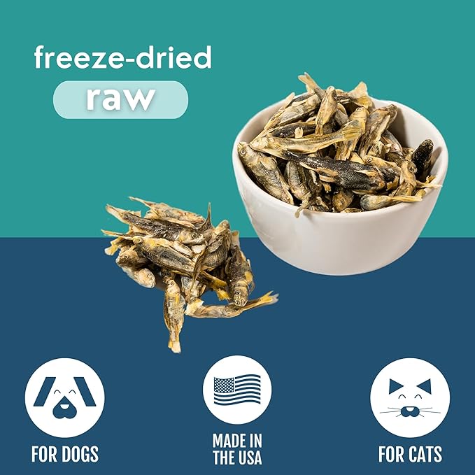Momentum Carnivore Nutrition Freeze-Dried Minnows Dog Treats – Single-Ingredient, Dog & Cat Treats – High-Protein, Grain-Free– 2 oz Bag