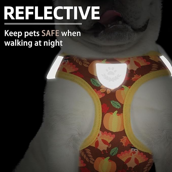 PUPTECK Adjustable Dog Harness Collar and Leash Set Step in No Pull Pet Harness for Small Medium Dogs Puppy and Cats Outdoor Walking Running, Soft Mesh Padded Reflective Vest Thanksgiving Harnesses