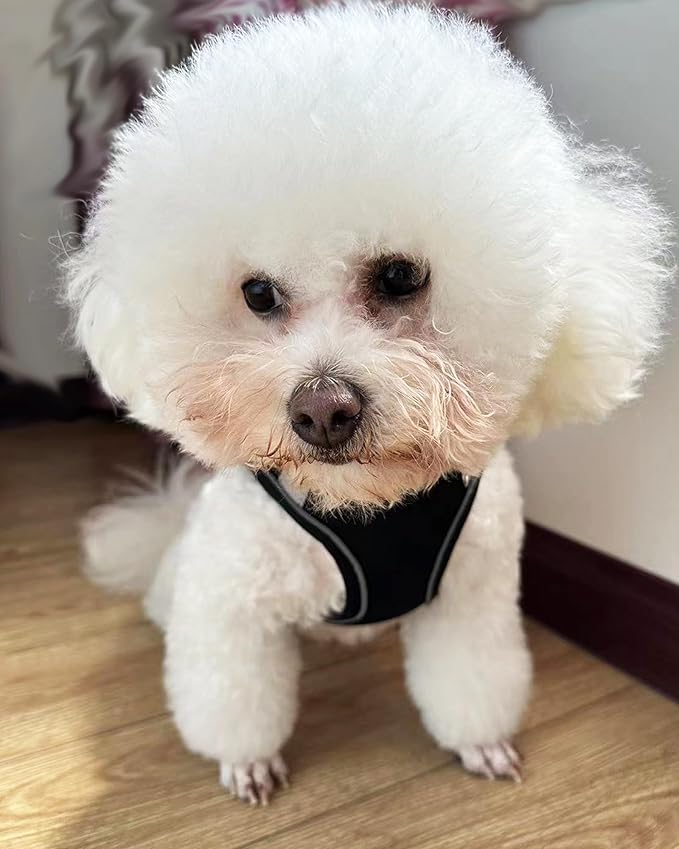 SOLMOONY Dog Harness for Small Medium Large Dogs No Pull, Puppy and Leash Set, Dogs, Step in Harness, mesh Harness. (Black, L)