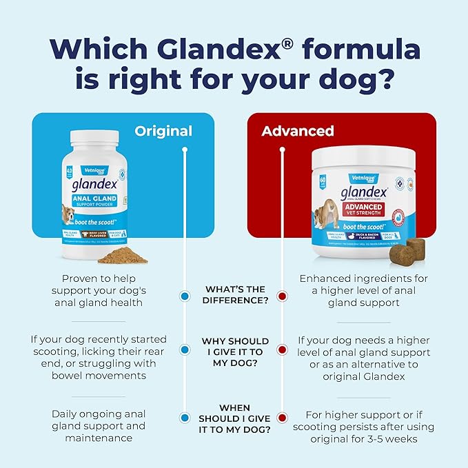 Vetnique Labs Glandex Dog Fiber Supplement Powder for Anal Glands with Pumpkin, Digestive Enzymes & Dog Probiotics for Digestive Health - Vet Recommended - Boot The Scoot (Pork Liver, 2.5oz Powder)